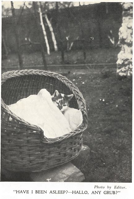 Image result for Stumpy John