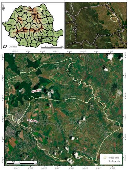 Research on the Ethology and Diet of the Stray Dog Population in the ...