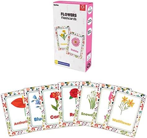Buy Festiko® 1 Set of 30 Pcs Flowers Flash Cards, Flowers Flash Cards ...