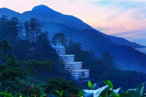 Top 17 Luxury Hotels in Munnar for a Comfortable Stay