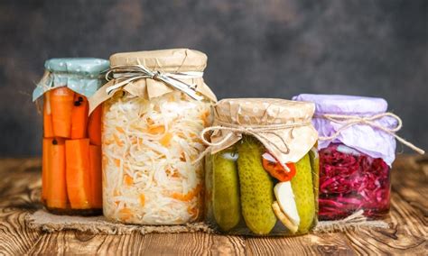 Assemble your glass jars and cultures, as you enter the world of ...