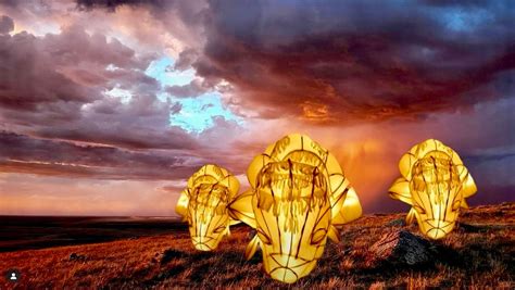 INISKIM - RETURN OF THE BUFFALO, a special evening to honour National ...