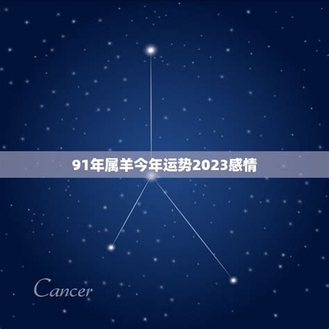 91年属羊今年运势2023感情(爱情运势大好)