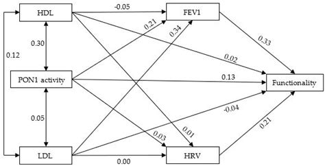 Paraoxonase I Activity and Its Relationship with Nutrition in ...