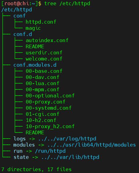 在Linux上搭建一个自己的网站_linux搭建个人网站-CSDN博客