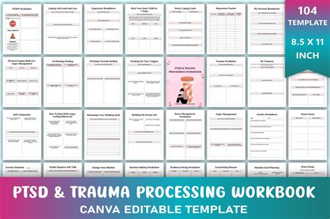 Image result for Trauma Processing PTSD