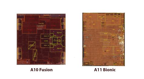 Bionic Size Comparison 的图像结果