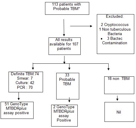 CSF Flow Chart 的图像结果