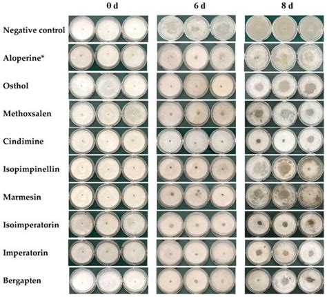 Nematicidal Coumarins from Cnidium monnieri Fruits and Angelica ...