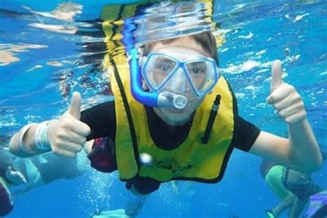 DISCOUNT EXCURSIONS LTD. - COZUMEL TOURS (2026) All You Need to Know ...