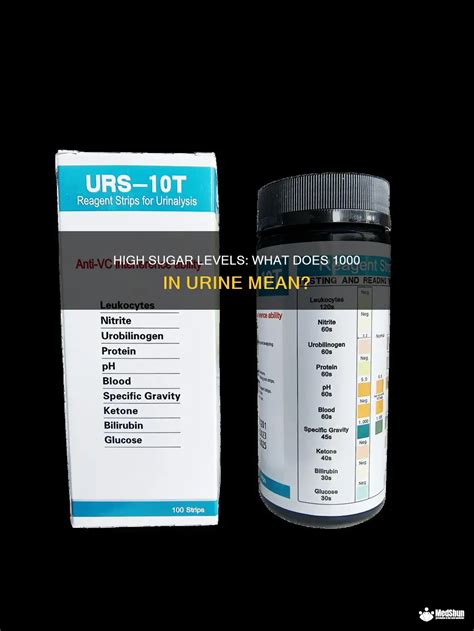 High Sugar Levels: What Does 1000 In Urine Mean? | MedShun