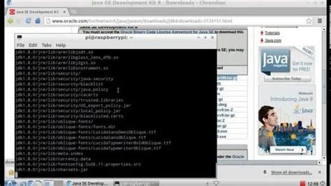 Image result for Java Oracle 8 Download