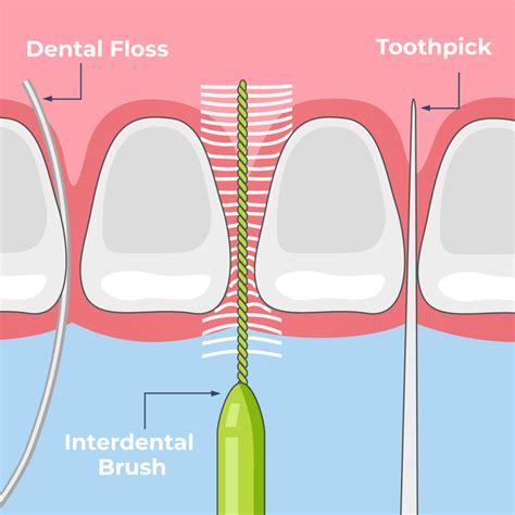 Is Interdental Brush Better Than Floss at Emma Spyer blog