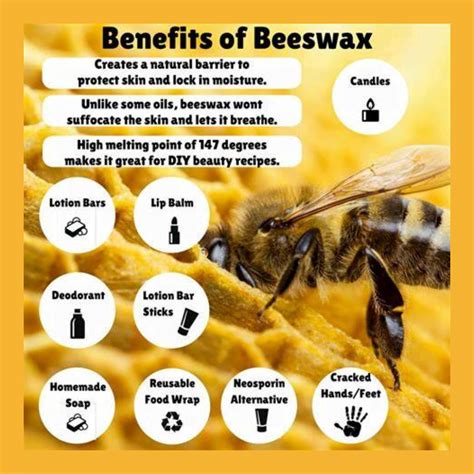 Beeswax Uses