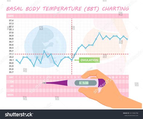 Basal Body Temp Chart Examples