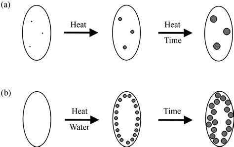 Crystallisation in Small Scale Using Sugar 的图像结果