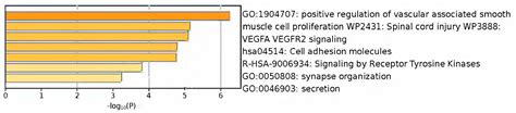 Identifying Hub Genes and miRNAs Associated with Alzheimer’s Disease: A ...