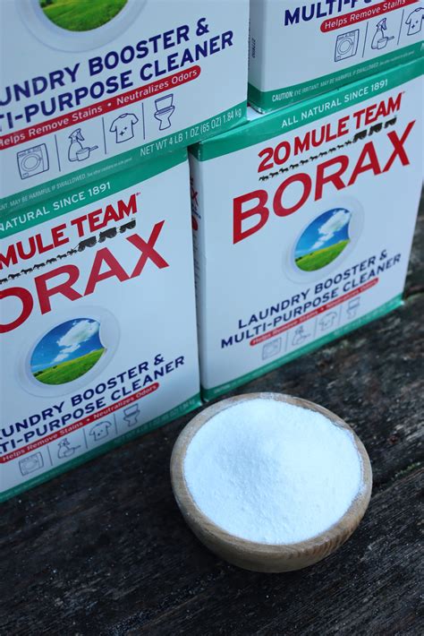 40+ Practical Ways to Use Borax — Practical Self Reliance