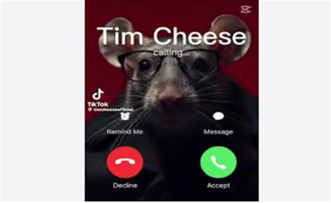 Image result for Tim Cheese Escae
