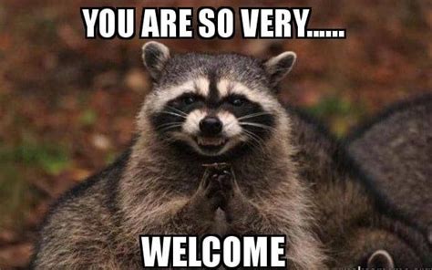 Image result for Cat Sketch Tutorial