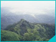 Luxury Bungalows & Villas for Sale in Mumbai, Thane & Shahapur