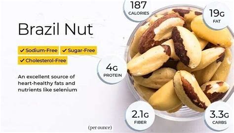 I love organic Premium Exotic Brazil Nuts JUMBO SIZE (200 g) Brazil ...