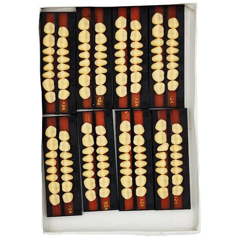 Truton Crosslinked Molar Set Teeth For Dental Laboratory