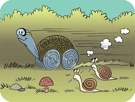 Image result for Speed Turtle Videos