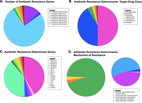Analysis of Acinetobacter P-type type IV secretion system-encoding ...