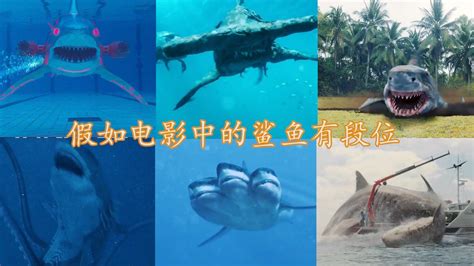 巨齿鲨pk五头鲨,巨齿鲨vs大王乌贼,霸王鲨(第11页)_大山谷图库