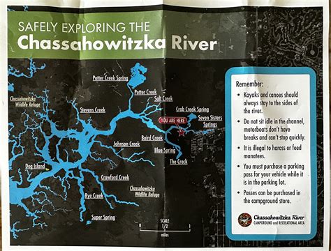 Exploring Chassahowitzka River: Seven Sisters Springs and The Crack – I ...