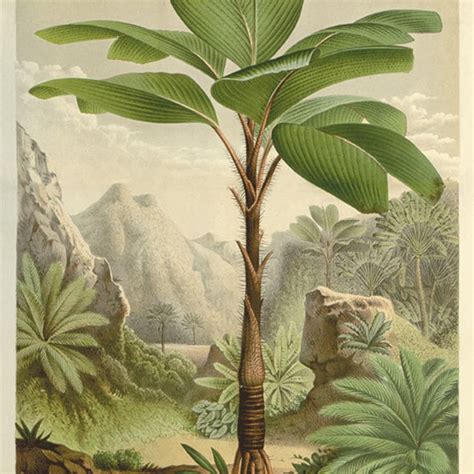 Palm Trees Art 的图像结果