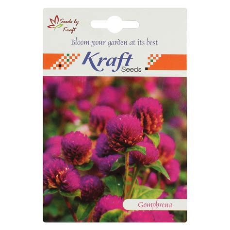 Kraft Seeds by 10club Gomphrena Flower Seeds (Pack of 20) by Kraft ...