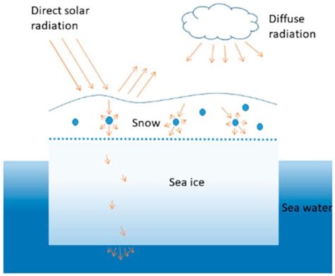 Estimating Early Summer Snow Depth on Sea Ice Using a Radiative ...