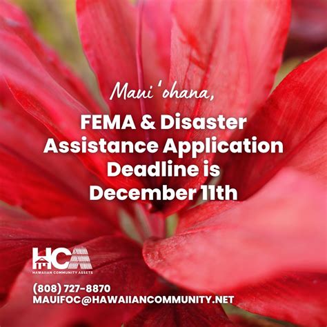 #hawaiiancommunityassets #mauistrong #alohamaui #kakoomaui # ...