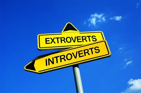 Image result for Extroversion