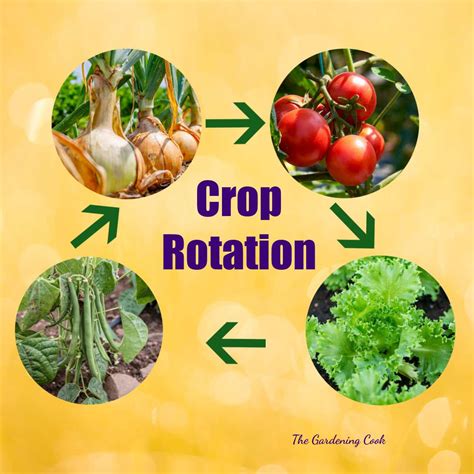 Image result for Crop Rotation