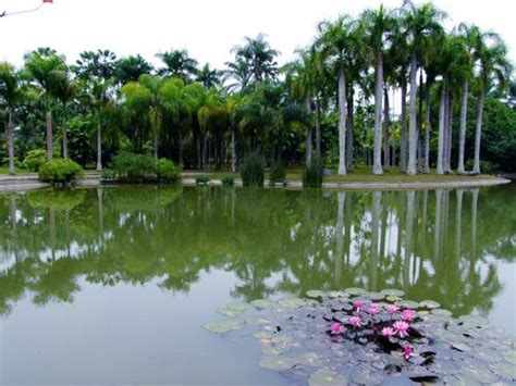 【携程攻略】西双版纳中科院西双版纳热带植物园景点,地处勐腊县的勐仑热带植物园是一个植物科普旅游景点。园内有各种热带…