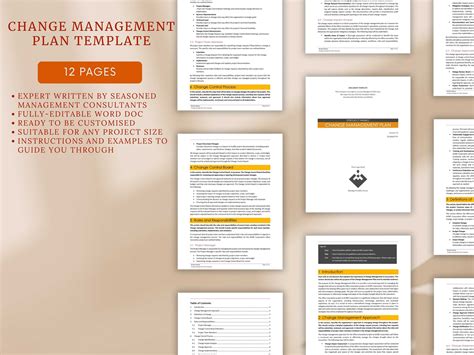 Change Management Program Template 的图像结果