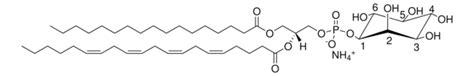 17:0-20:4 PI methanol solution Avanti Polar Lipids