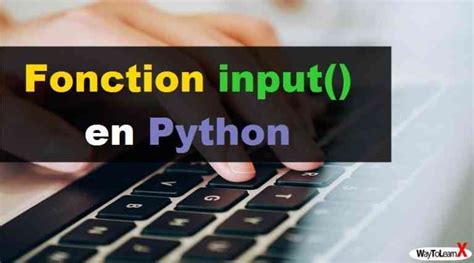 Fonction Input Python 的图像结果