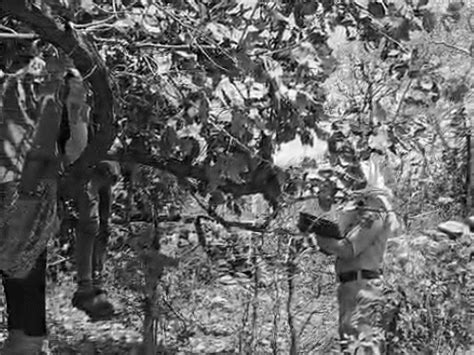Sheopur Couple Suicide: Bodies Found Hanging; Families Opposed Marriage