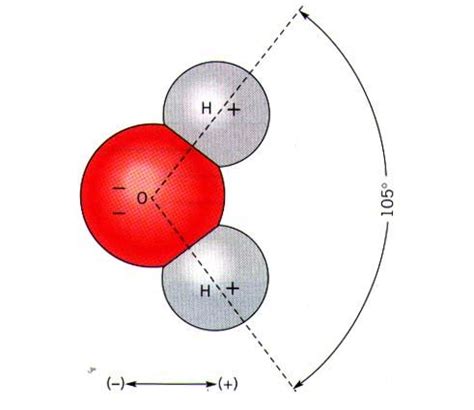 水分子 的图像结果