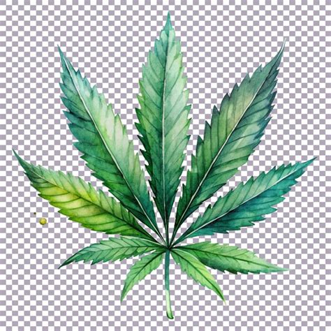 Page 3 | Cannabinoid PSD, High Quality Free PSD Templates for Download ...