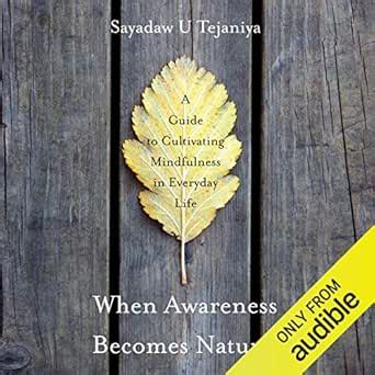 When Awareness Becomes Natural: A Guide to Cultivating Mindfulness in ...
