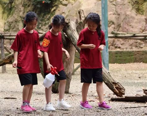 芬兰、日本早就开始的儿童木工课，深圳金生国际幼儿学校也玩起来了