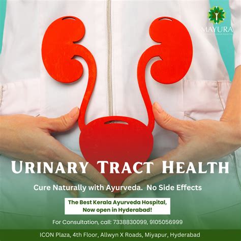 Urinary Tract Health: Tips for Prevention and Management - Mayura Hospitals
