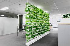 Office Green Walls by 6 Business Benefits Of Green Walls Ambius Australia Office Green Walls