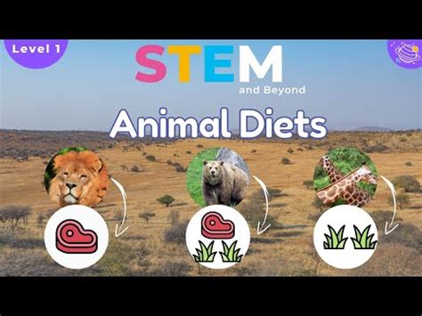 Animal Food 的图像结果