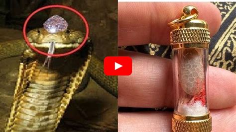 Rare Secrets About Real Nagamani Stone Details | Nagamani Stone Facts ...